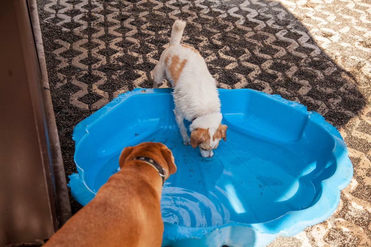 Ferienwohnung Bei Cooldog Imst Exteriér fotografie