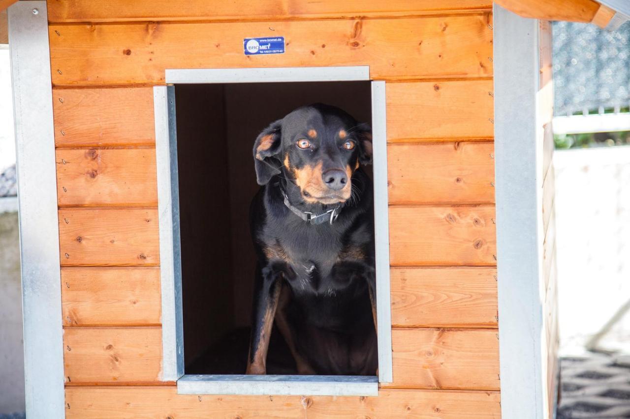 Ferienwohnung Bei Cooldog Imst Exteriér fotografie